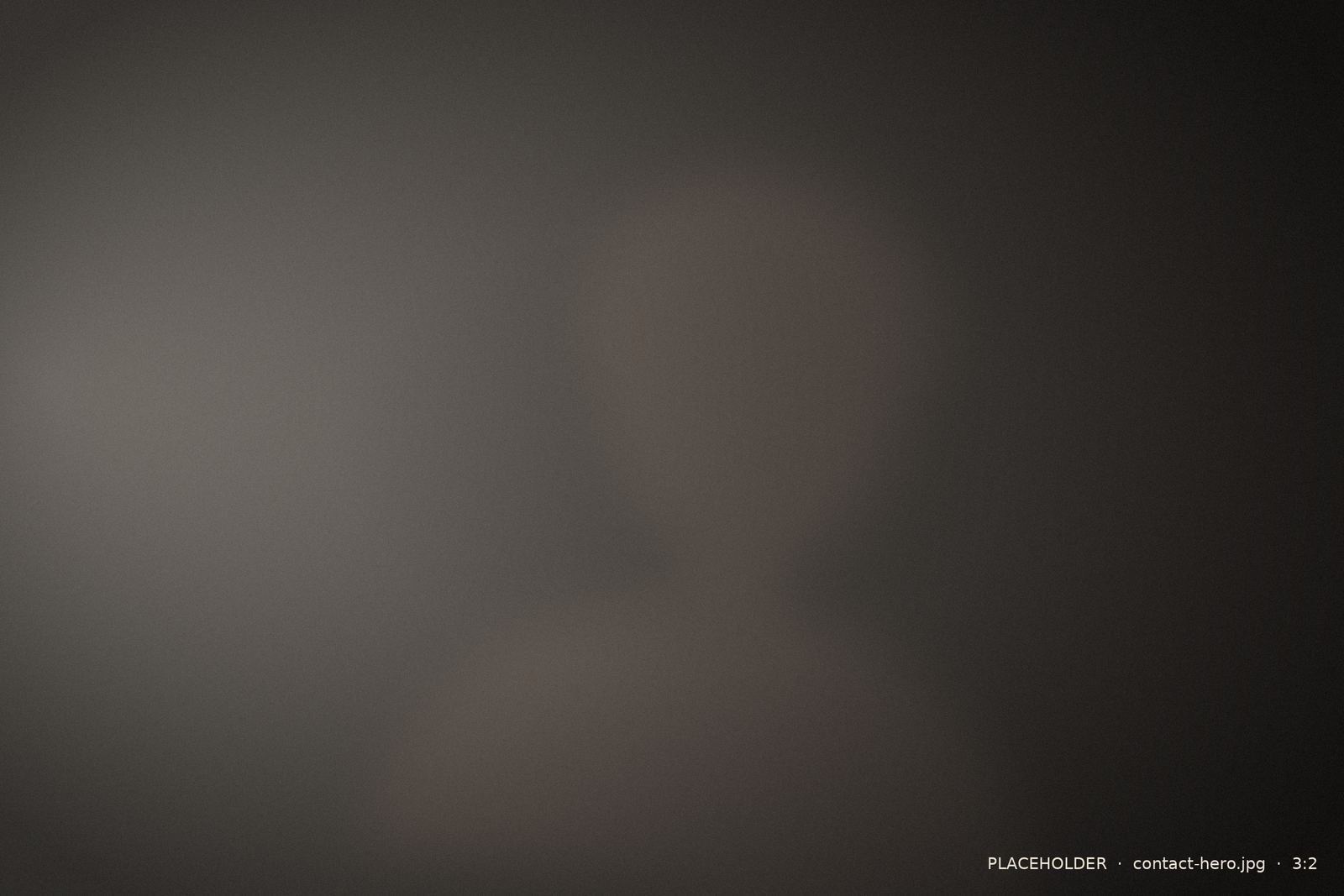 Child's portrait in warm light
